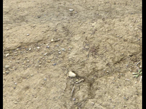 desert wasteland ground pbr pack 3 CG Textures