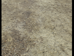 desert wasteland ground pbr pack 3 CG Текстури
