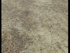 desert wasteland ground pbr pack 3 CG Textures
