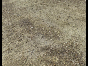 desert wasteland ground pbr pack 3 CG Textures