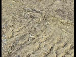desert wasteland ground pbr pack 3 CG Текстури