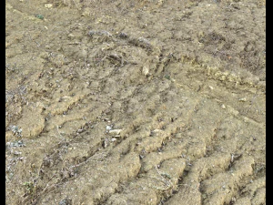 desert wasteland ground pbr pack 3 CG Textures