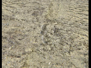 desert wasteland ground pbr pack 3 CG Textures