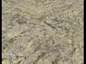 desert wasteland ground pbr pack 3 CG Textures