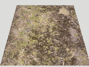 forest terrain pack pbr 3 CG 텍스쳐