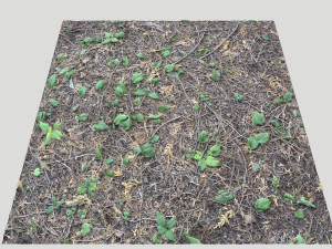 forest terrain pack pbr 3 CG 텍스쳐