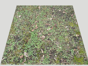 forest terrain pack pbr 3 CG 텍스쳐