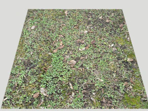 forest terrain pack pbr 3 CG Textures
