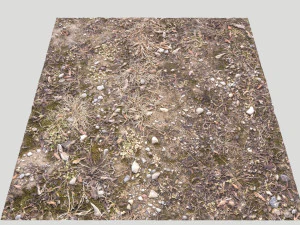 forest terrain pack pbr 3 CG Textures