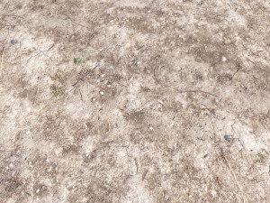 forest terrain pack pbr 4 CG Texturen
