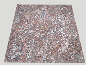 forest terrain pack pbr 4 CG Texturen