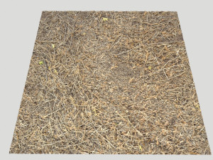 forest terrain pack pbr 4 CG Texturen