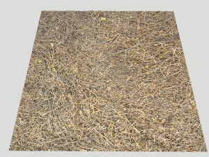 forest terrain pack pbr 4 CG Textures