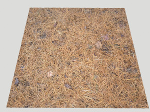 forest terrain pack pbr 4 CG Texturen