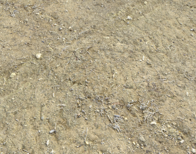 arid dirty ground pbr pack 1 CG Textures .c4d .max .obj .3ds .fbx .stl .blend 