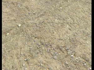 arid dirty ground pbr pack 1 CG Textures