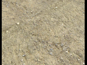 pacchetto PBR terreno arido e sporco 1 CG Textures