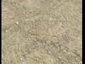 Arid dirty ground PBR Pack 1 3D Model
