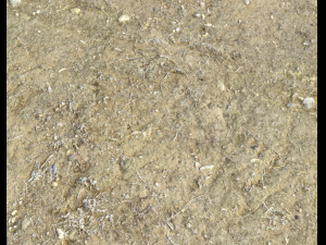 arid dirty ground pbr pack 1 CG Textures