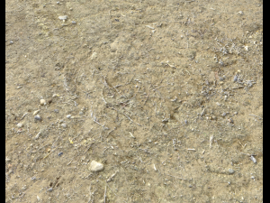 arid dirty ground pbr pack 1 CG Textures