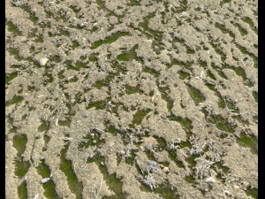 arid dirty ground pbr pack 1 CG Textures