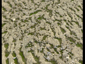 arid dirty ground pbr pack 1 CG Textures