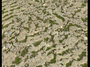 arid dirty ground pbr pack 1 CG Textures