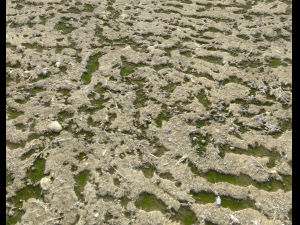 arid dirty ground pbr pack 1 CG Textures