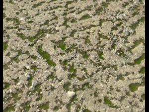 arid dirty ground pbr pack 1 CG Textures