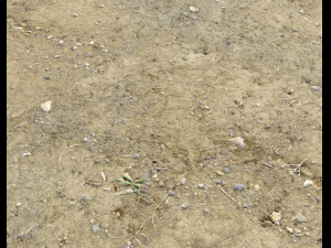 arid dirty ground pbr pack 1 CG Textures