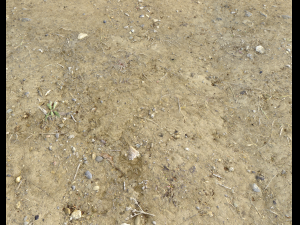 arid dirty ground pbr pack 1 CG Textures