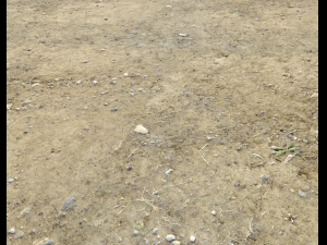 arid dirty ground pbr pack 1 CG Textures