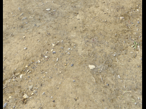arid dirty ground pbr pack 1 CG Textures