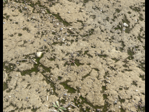 arid dirty ground pbr pack 1 CG Textures