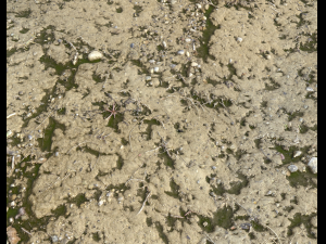 arid dirty ground pbr pack 1 CG Textures