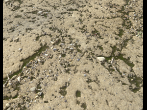 arid dirty ground pbr pack 1 CG Textures