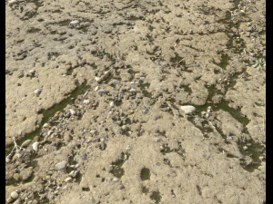 arid dirty ground pbr pack 1 CG Textures