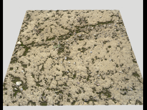 arid dirty ground pbr pack 1 CG Textures