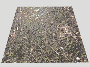 dirty wet ground pbr pack 1 CG Textures