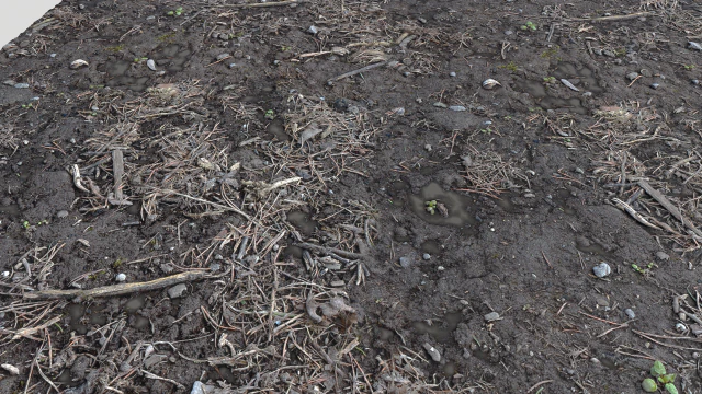 dirty wet ground pbr pack 1 CG Textures .c4d .max .obj .3ds .fbx .stl .blend