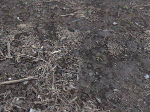 dirty wet ground pbr pack 1 CG テクスチャ