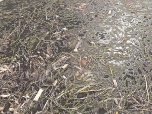 dirty wet ground pbr pack 1 Texturas CG