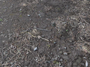 dirty wet ground pbr pack 1 CG Textures
