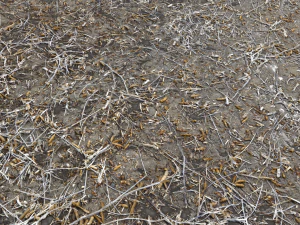 dirty wet ground pbr pack 1 CG Textures