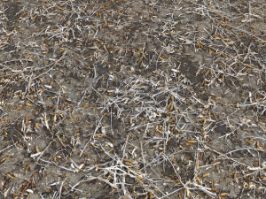 dirty wet ground pbr pack 1 Texturas CG