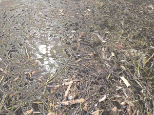 dirty wet ground pbr pack 1 Texturas CG