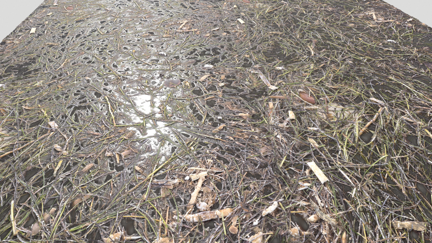 Wet ground. Мокрая плитка обои. Влажный грунт. Wet ground. Wet ground ak.