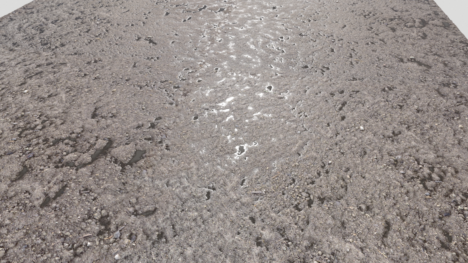 Wet ground. Wet ground. Wet ground. Wet ground. Environment wet ground.