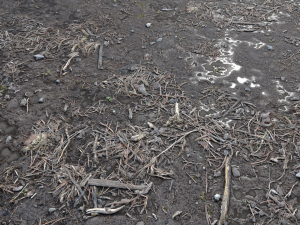 dirty wet ground pbr pack 1 Texturas CG