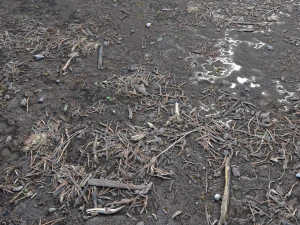 dirty wet ground pbr pack 1 CG Textures